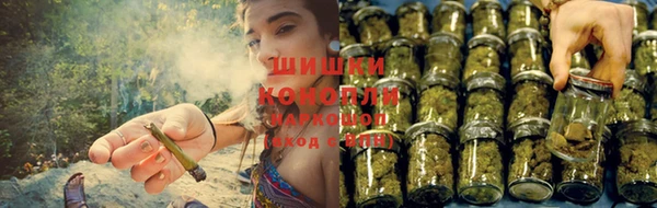 прущие крисы Волоколамск